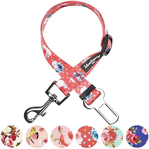 Blueberry Pet 8 Patterns Spring Scent Inspired Rose and Polka Dot Print Brink - Image 5