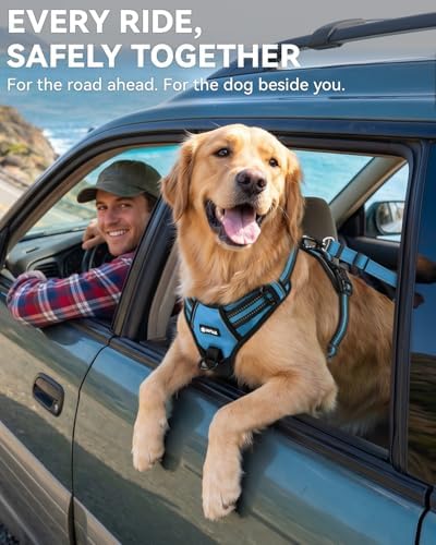Joytale 3-in-1 Bungee Dog Seat Belt - Image 4