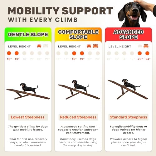 Foldable Dog Ramp for Couch - Image 3