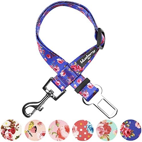 Blueberry Pet 8 Patterns Spring Scent Inspired Rose Print Irish Blue Adjustable - Image 5