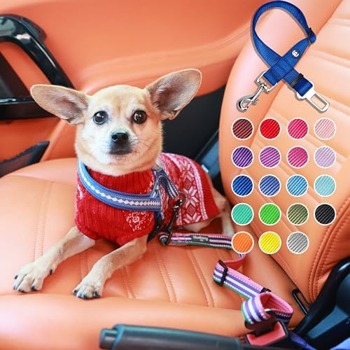 Blueberry Pet Dog Seatbelt for Car - Image 2