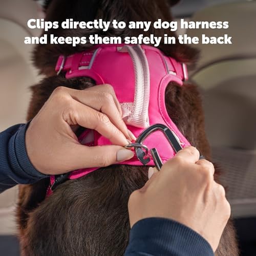 PetSafe Safety Seatbelt Dog Tether - Image 4