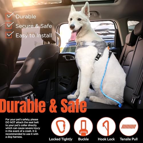 Dog Seat Belt for Car | Universal Pet Car Seatbelt - Image 6
