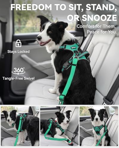 Joytale 3-in-1 Bungee Dog Seat Belt - Image 5