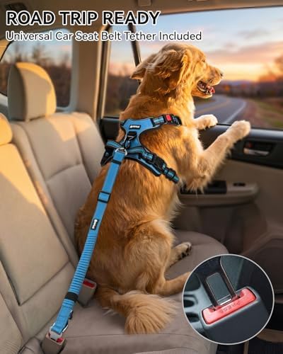 Joytale No Pull Dog Harness & Seat Belt, Easy On 3-Buckle, Sky Blue - Image 3