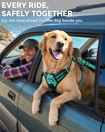 Joytale 3-in-1 Bungee Dog Seat Belt - Image 4