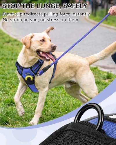 Joytale No Pull Dog Harness & Seat Belt, Easy On 3-Buckle - Image 4