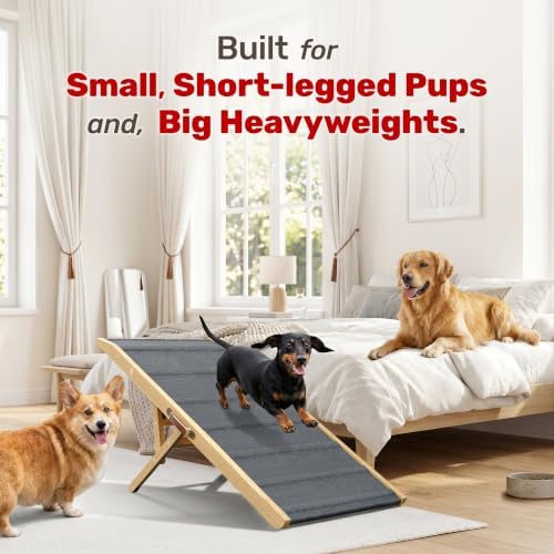 Foldable Dog Ramp for Couch - Image 2