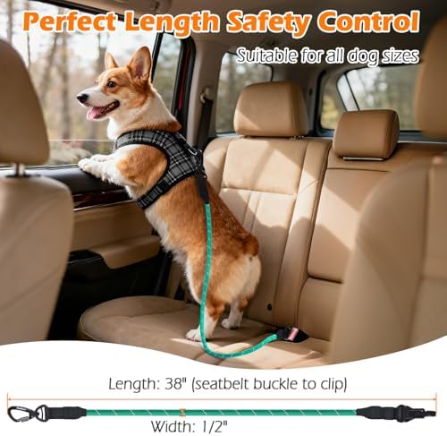 PetBonus Dog Seat Belt for Car, Durable Rope Dog Car Harness for Vehicle - Image 4
