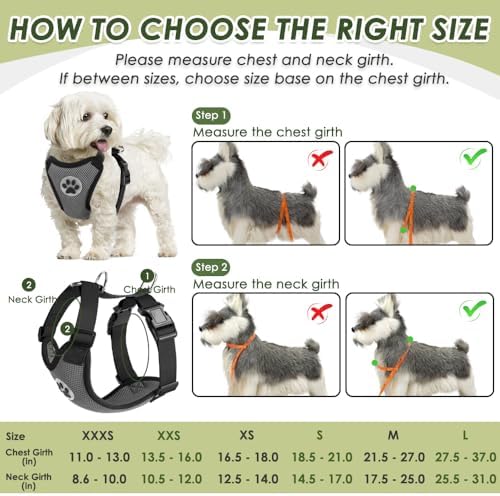 SlowTon Dog Seat Belt and Harness - Image 6