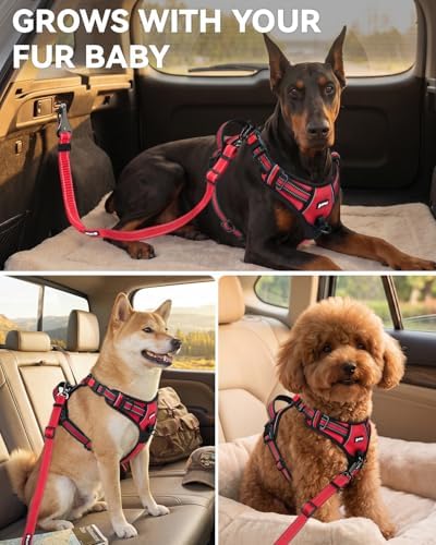 Joytale 3-in-1 Bungee Dog Seat Belt - Image 6
