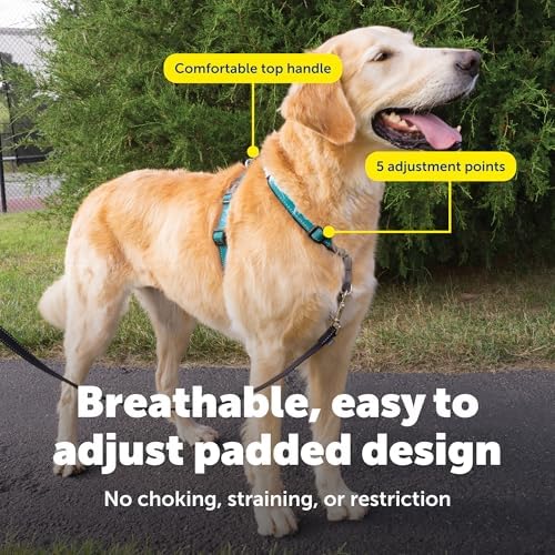 PetSafe Easy Walk 3 in 1 No Pull Dog Harness - Image 4
