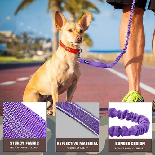 AUROTH Bungee Dog Leash for Large Dogs, No Pull for Shock Absorption - Image 2