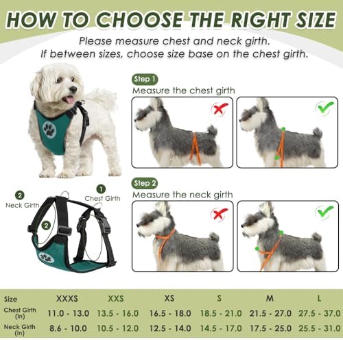 SlowTon Dog Seat Belt and Harness - Image 6