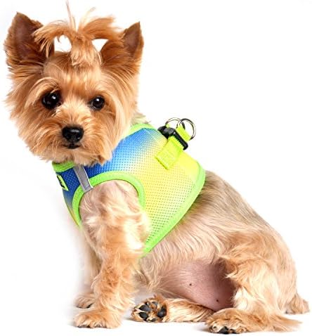 American River Dog Harness Ombre Collection - Image 4