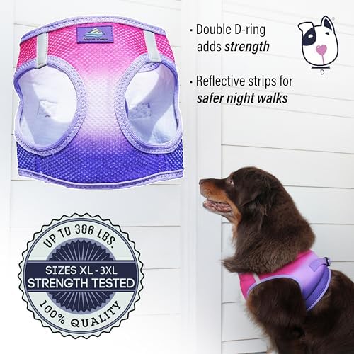 Doggie Design Dog Harness - Image 2