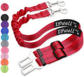 IBWell Dog Seat Belt with Elastic Bungee Leash, Car Seat Belt by IBWell