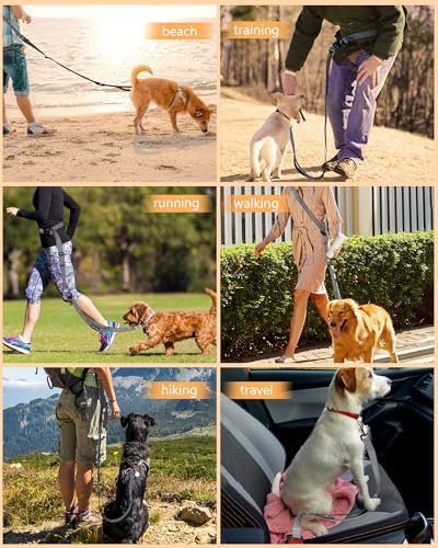 Hands Free Dog Leash with Seatbelt Set, Waist & Crossbody Dog Leash - Image 3