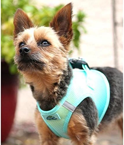 Doggie Design No Choke Dog Harness - Image 3
