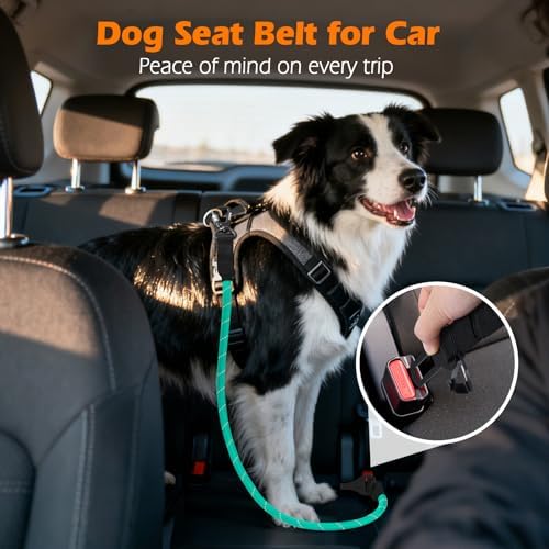 PetBonus Dog Seat Belt for Car, Durable Rope Dog Car Harness for Vehicle - Image 3