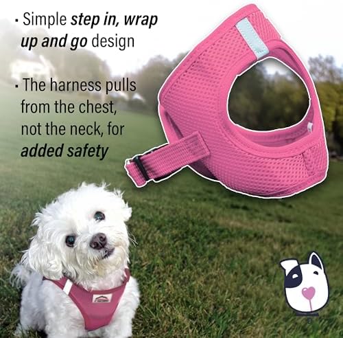American River Ultra Choke-Free Mesh Dog Harness - Image 5