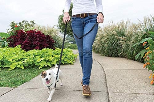 PetSafe Easy Walk 3 in 1 No Pull Dog Harness - Image 2