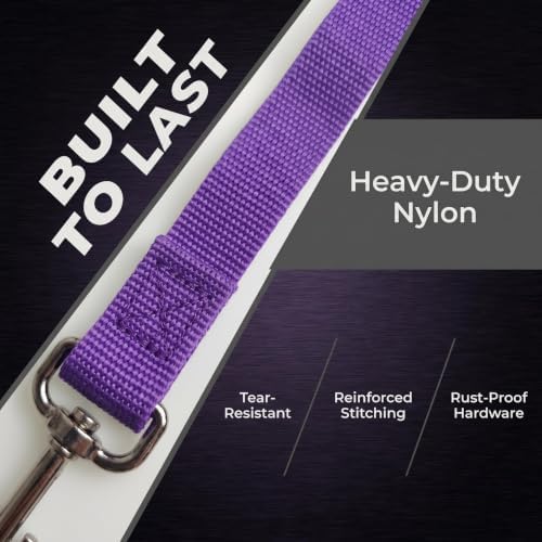BLMHTWO 4PCS Adjustable Dog Seat Belt - Image 4