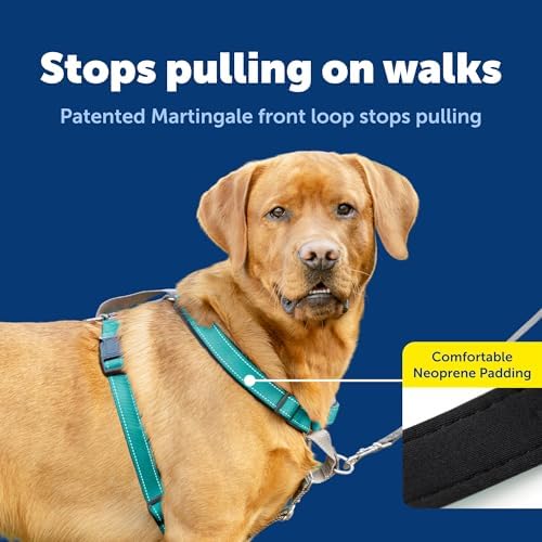 PetSafe Easy Walk 3 in 1 No Pull Dog Harness - Image 3