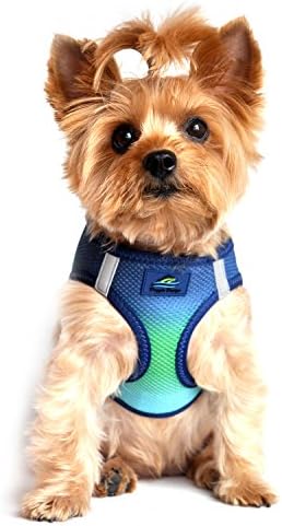 Doggie Design No Choke Dog Harness by DoggieDesign