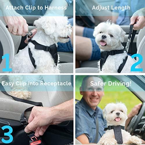 Duke & Dixie Dog Seat Belt Pet Dog Cat Car Seatbelt Safety - Image 5