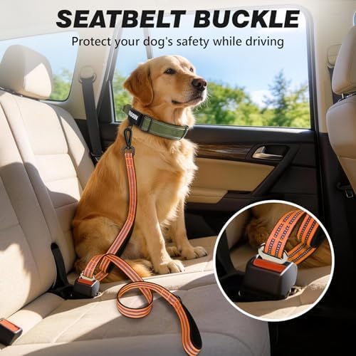 Double Handle Dog Leash with Poop Bag Holder and Car Seat Belt Buckle - Image 3