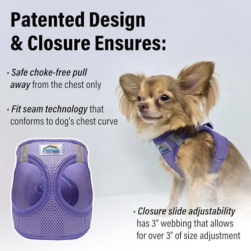 Doggie Design Dog Harness - Image 2