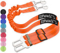 IBWell Dog Seat Belt with Elastic Bungee Leash, Car Seat Belt by IBWell