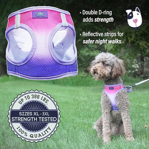 Doggie Design Dog Harness - Image 3