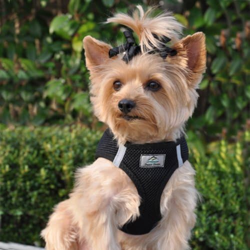 Doggie Design American River Ultra Choke Free Dog Harness - Image 3