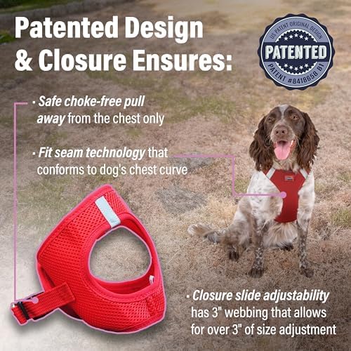 Doggie Design Dog Harness - Image 3