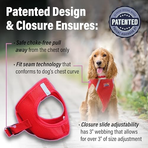 Doggie Design Dog Harness - Image 3