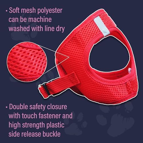 Doggie Design Dog Harness - Image 6