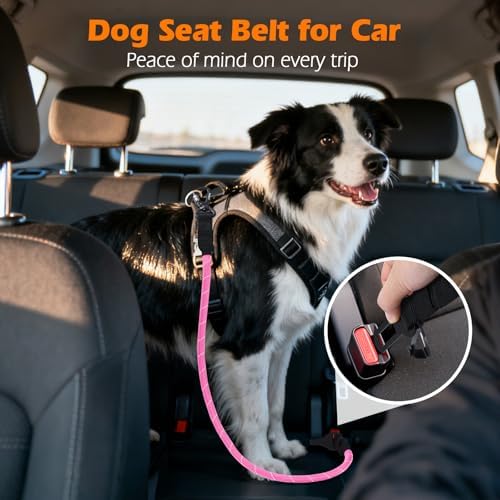 PetBonus Dog Seat Belt for Car, Durable Rope Dog Car Harness for Vehicle - Image 3