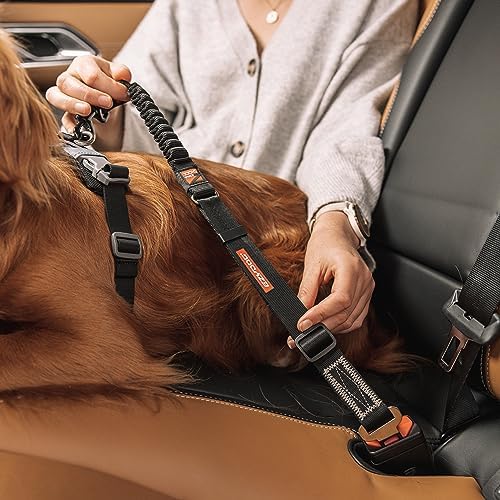 EzyDog Zero Shock Click - Image 5