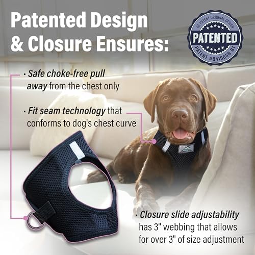 Doggie Design Dog Harness - Image 3