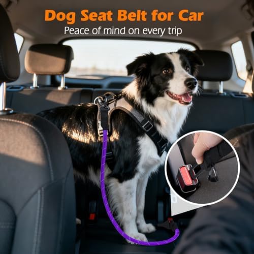 PetBonus Dog Seat Belt for Car, Durable Rope Dog Car Harness for Vehicle - Image 3