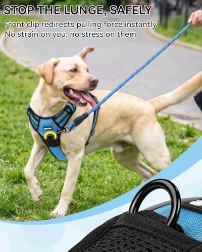 Joytale No Pull Dog Harness & Seat Belt, Easy On 3-Buckle, Sky Blue - Image 4