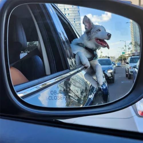 Pawtitas Dog Seat Belt | Pet Safety Seat Belt - Image 2