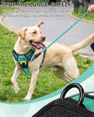 Joytale No Pull Dog Harness & Seat Belt, Easy On 3-Buckle - Image 4