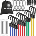 WORKPRO Bungee Cords with Hooks, 30-Piece Heavy Duty Outdoor Bungee Strap by WORKPRO