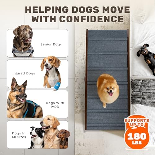 Foldable Dog Ramp for Couch - Image 6
