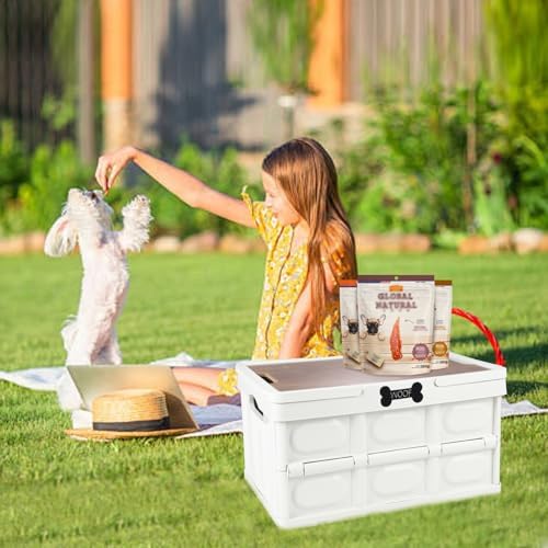 Collapsible Dog Toy Basket - Image 4