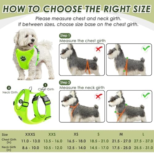 SlowTon Dog Seat Belt and Harness - Image 5
