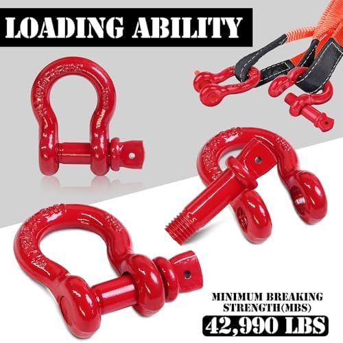 5/8" D Ring Shackle with 3/4" Screw Pin, 3.25T Working Load Limit / 19.5T - Image 3